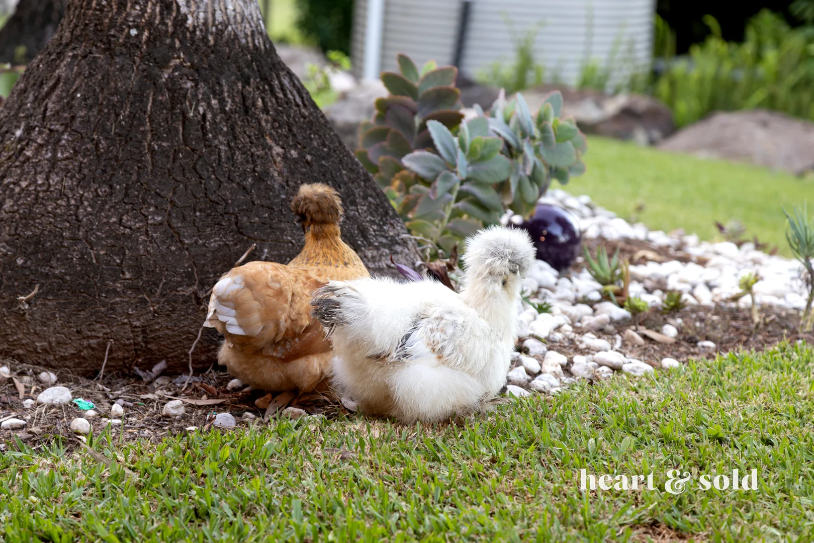 Additional image 7 of 122 Valdora Road, Valdora QLD 4561