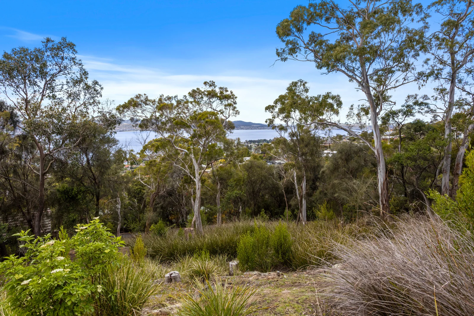 Additional image 9 of 199 Nelson Road, Mount Nelson TAS 7007