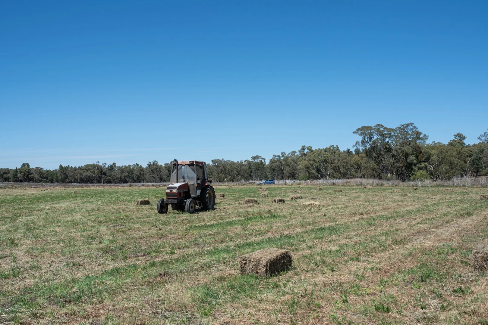 Additional image 3 of Geurie NSW 2818