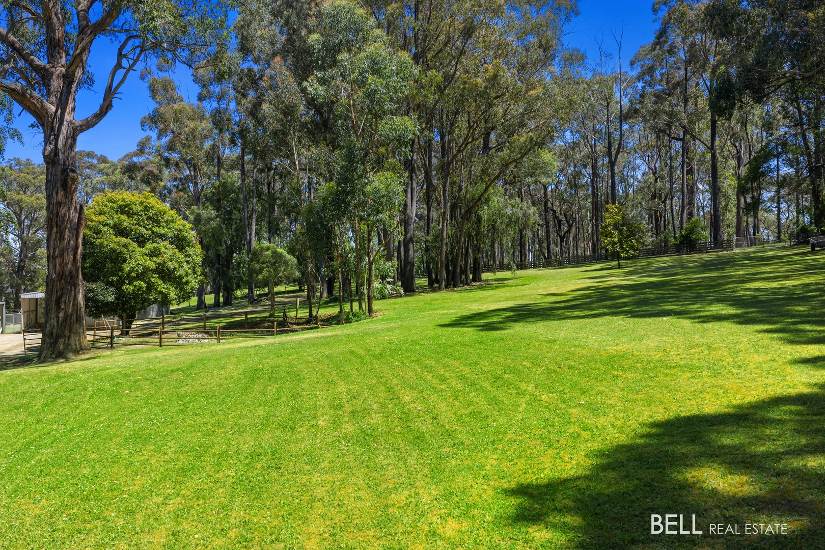 Additional image 20 of 5 Staves Road, Hoddles Creek VIC 3139