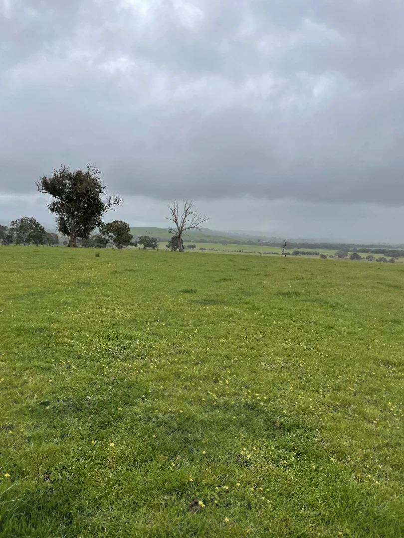 Additional image 4 of Portland-Casterton Road, Henty VIC 3312