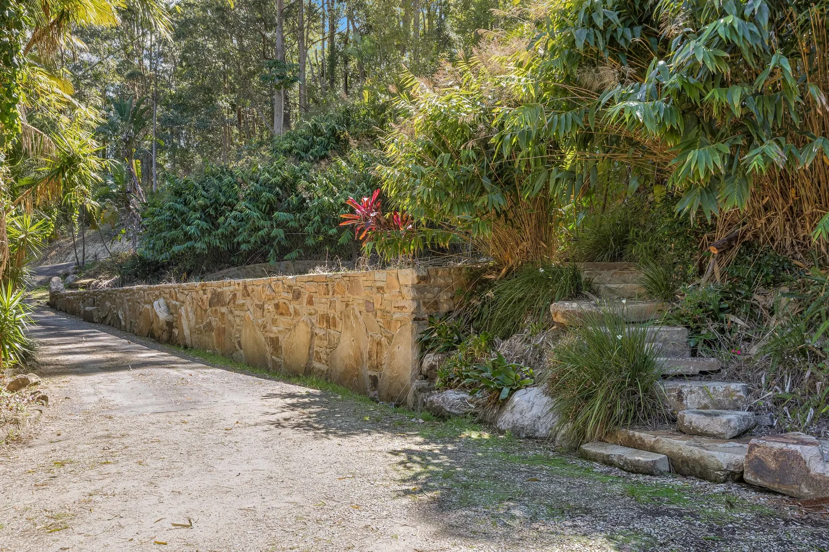 Additional image 25 of 126 Bonnydoon Road, Uki NSW 2484