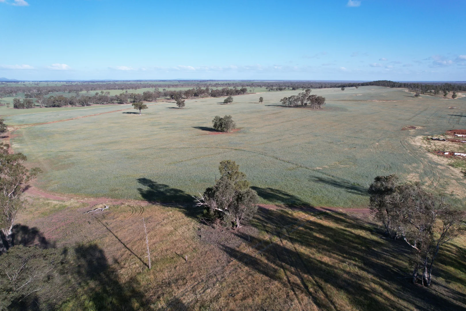 Additional image 6 of 1404 Lake Cowal, Forbes NSW 2871