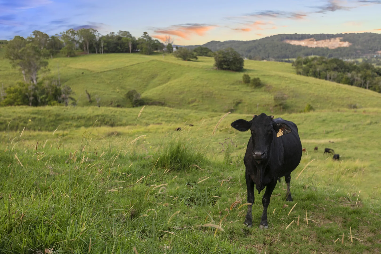 Additional image 17 of 244 Perry Road, Image Flat QLD 4560