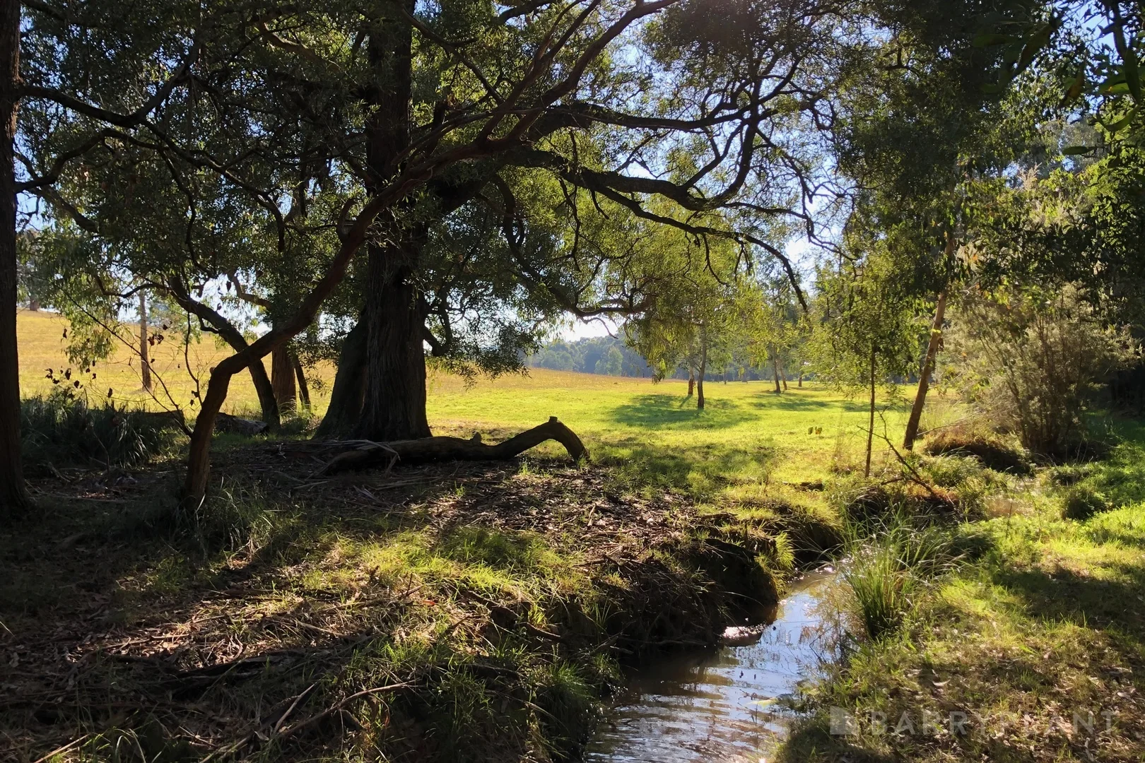 Additional image 6 of 450 Sheepstation Creek Road, Yellingbo VIC 3139