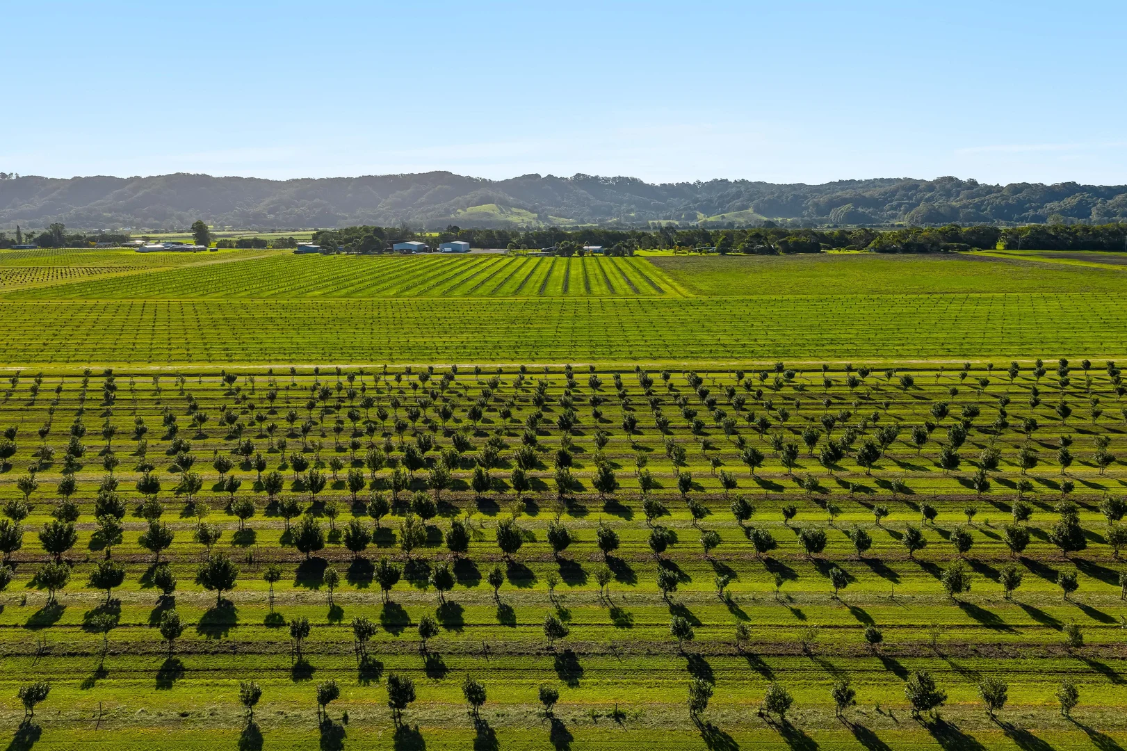 Additional image 7 of 134 Hermans Lane, Pimlico NSW 2478