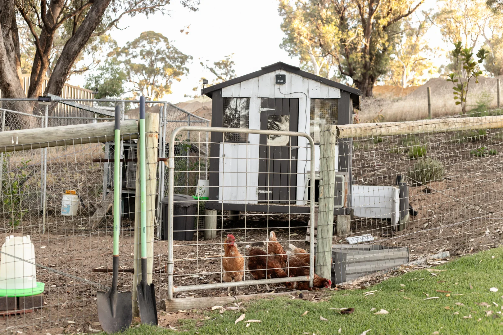 Additional image 32 of 5 Yorrell Road, Baldivis WA 6171