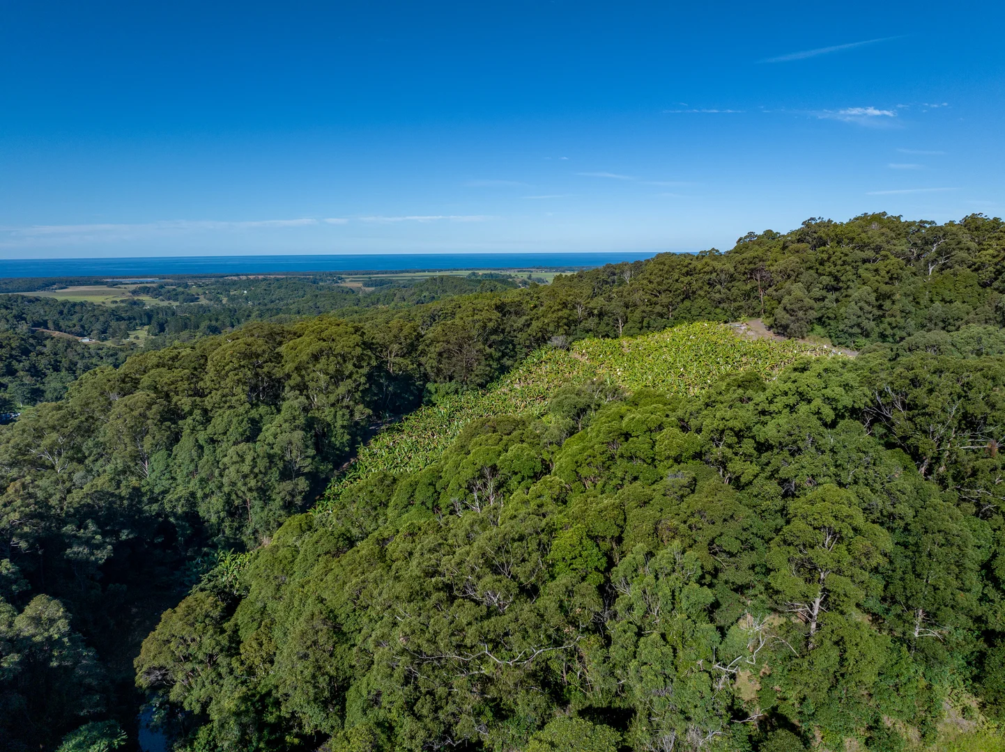 Additional image 58 of Sleepy Hollow NSW 2483