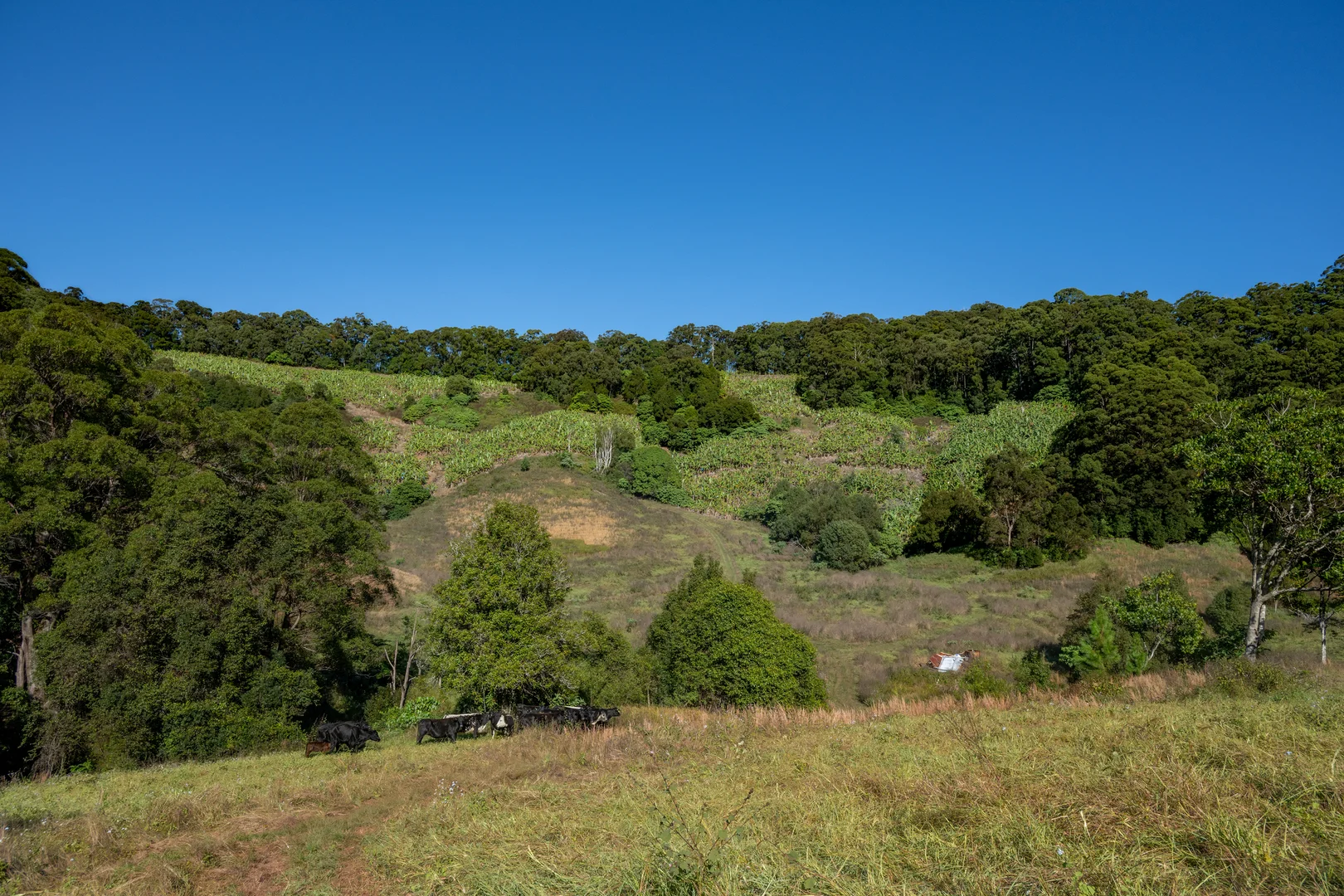 Additional image 45 of Sleepy Hollow NSW 2483