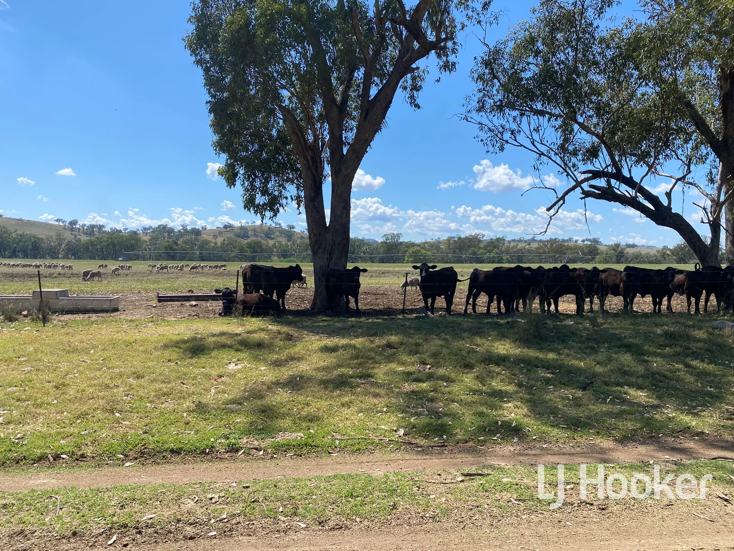 Additional image 12 of 1198 Bukkulla Road, Inverell NSW 2360