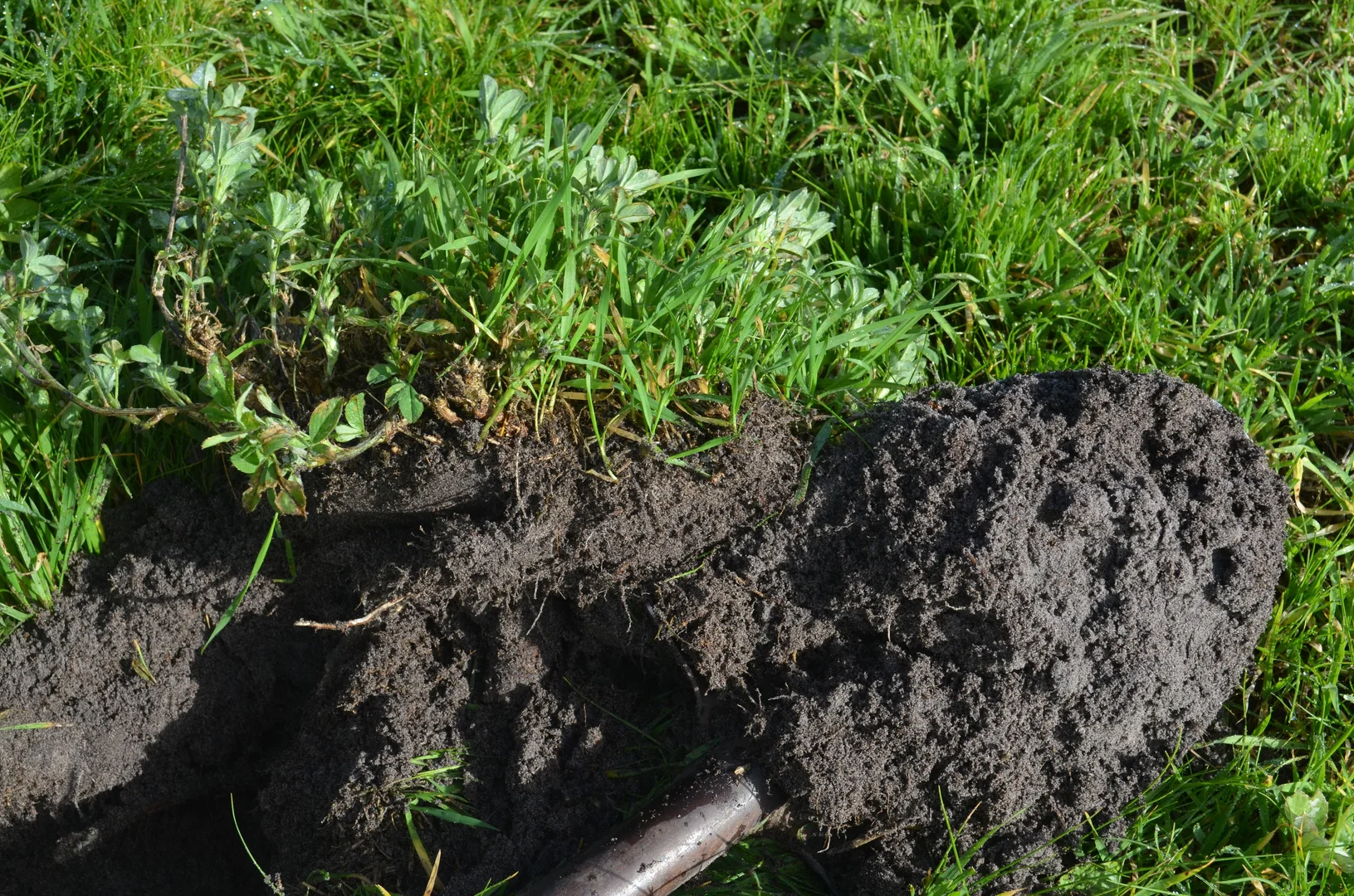 Additional image 5 of 5422 Clay Wells Road, Millicent SA 5280