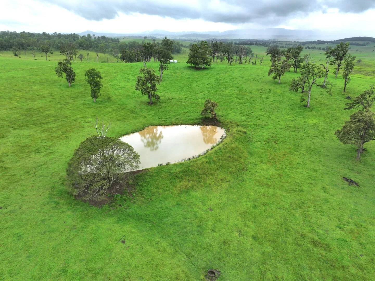 Additional image 10 of 284 Upper Stratheden Road, Kyogle NSW 2474