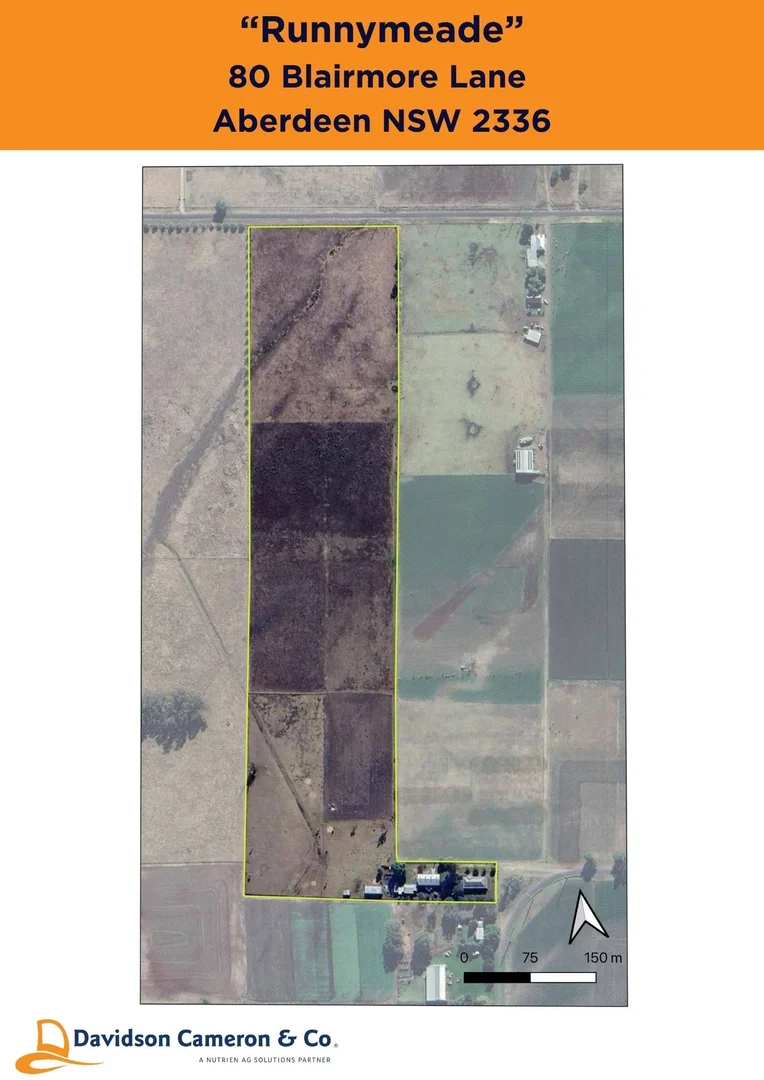Additional image 45 of "Runnymeade" 80 Blairmore Lane, Aberdeen NSW 2336