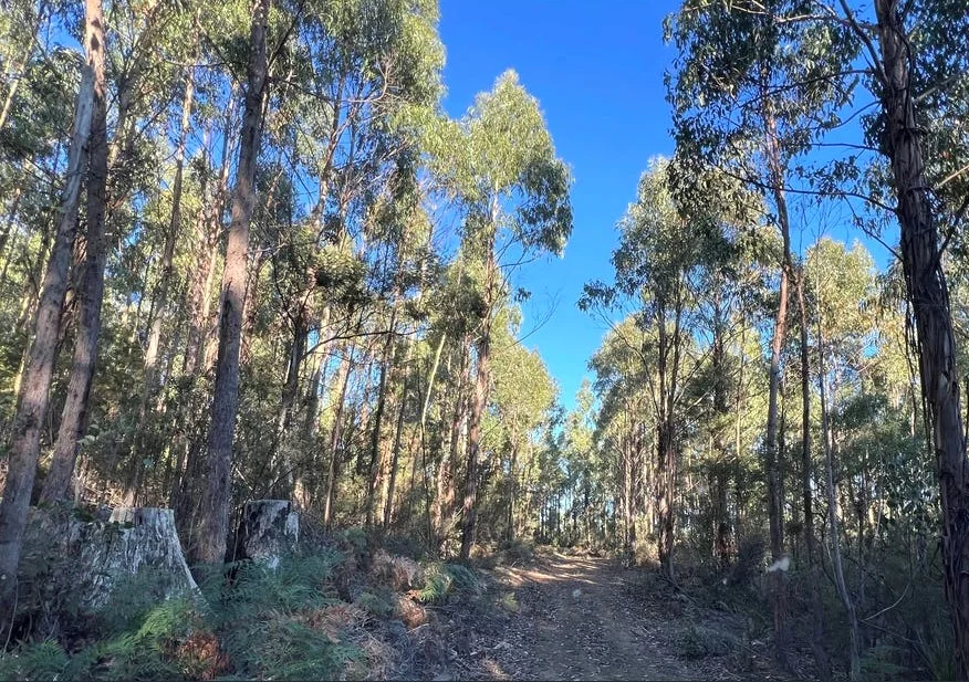 Additional image 24 of 2204 East Tamar Highway, Mount Direction TAS 7252