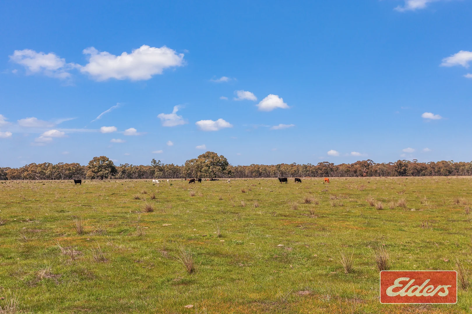 Additional image 9 of Graham Road, Koyuga VIC 3622