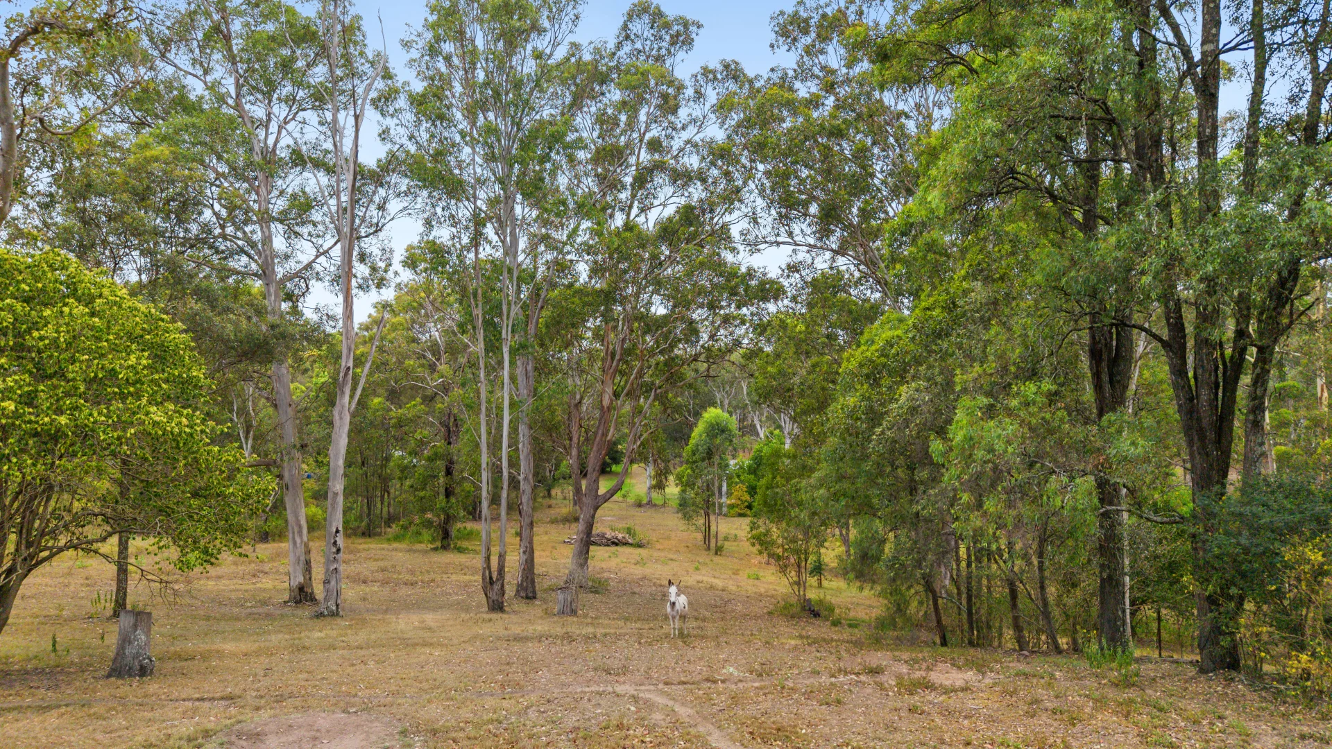 Additional image 27 of 420-424 Cranebrook Road, Cranebrook NSW 2749