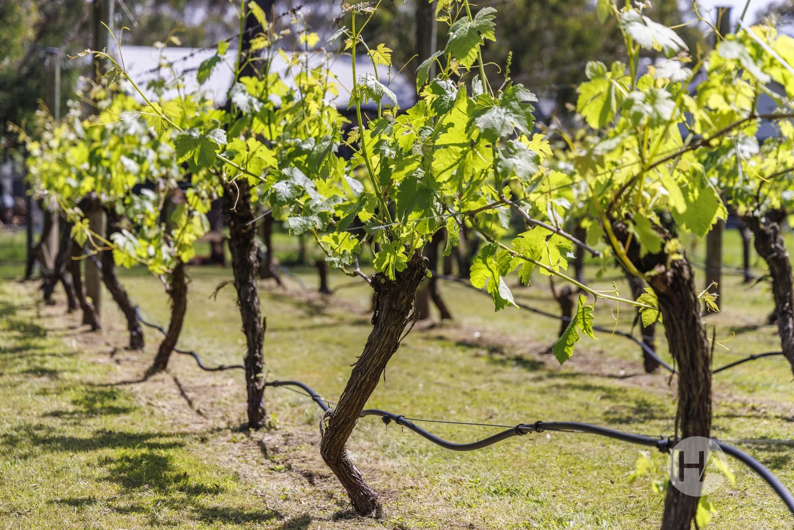 Additional image 13 of 150 South Beach Road, Bittern VIC 3918