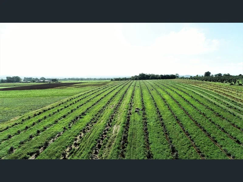 Additional image 19 of 139 Tinaroo Falls Dam Road, Atherton QLD 4883