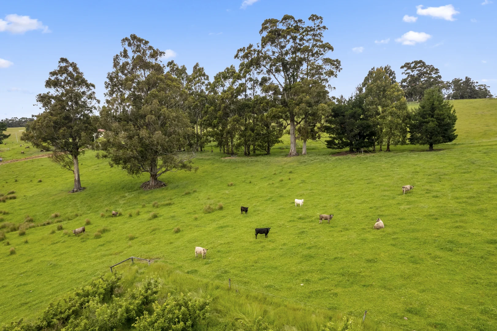 Additional image 12 of Lot  1 Flakemore Road, Franklin TAS 7113