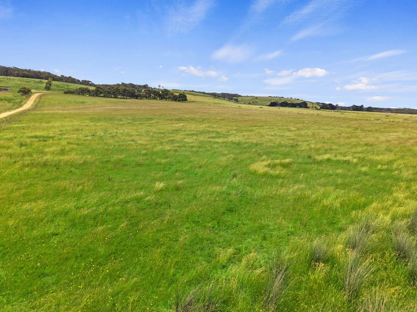 Additional image 7 of Lot 1 198 Wades Road, Narrawong VIC 3285