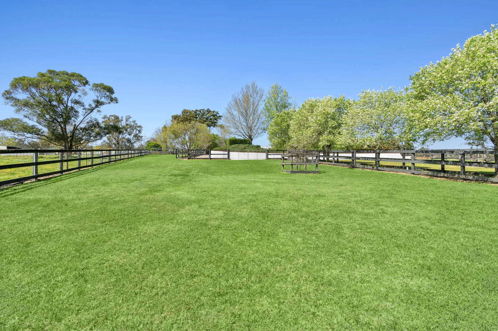 Additional image 7 of 23 Clare Crescent, Oakville NSW 2765