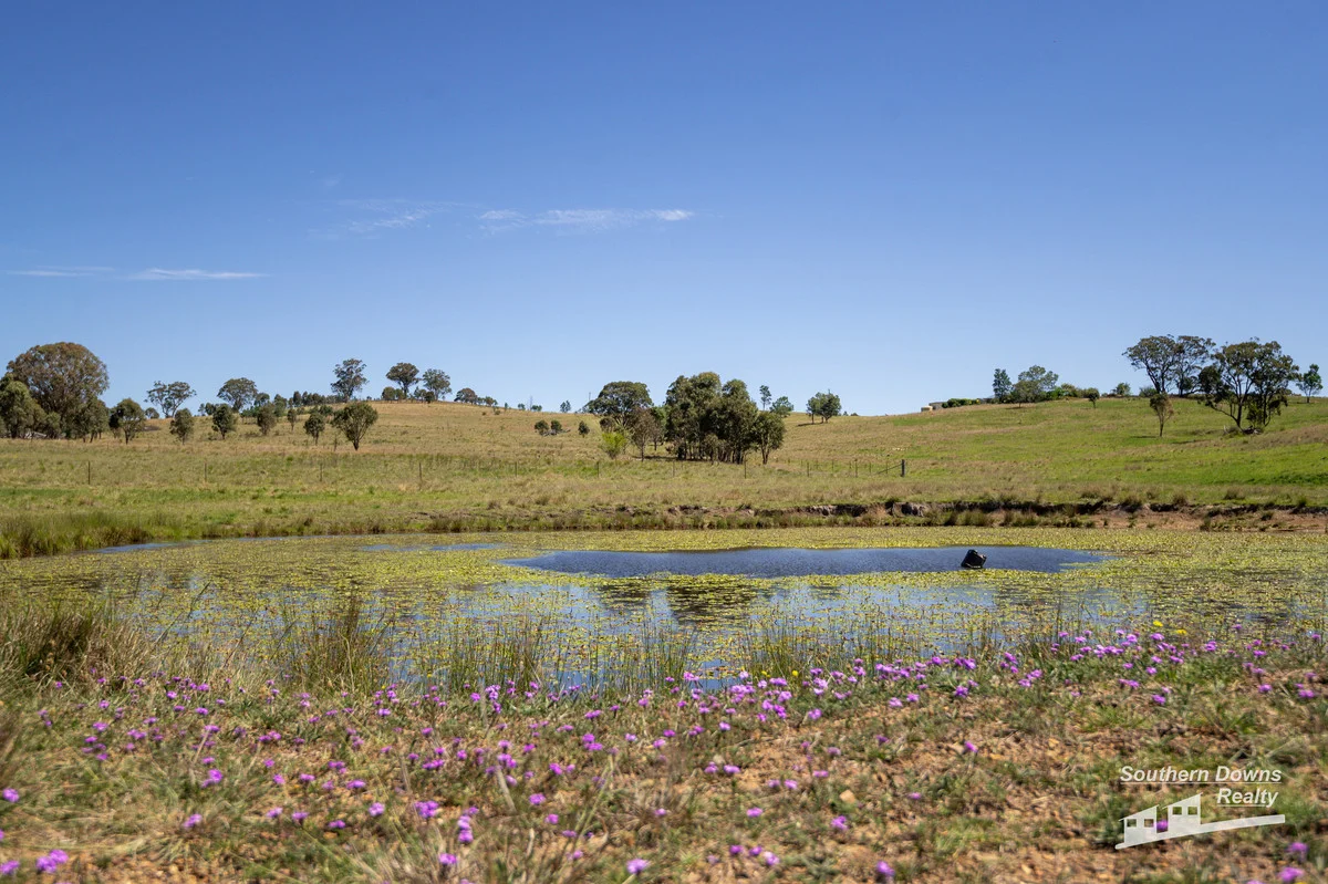 Additional image 29 of 4 Browns Road, Dalveen QLD 4374