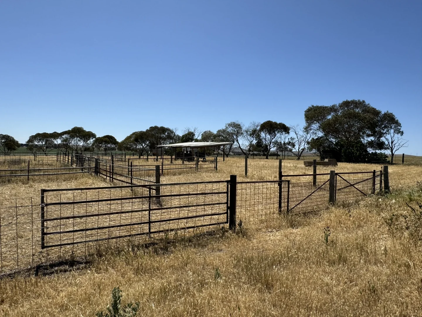 Additional image 35 of 1 Tohls Road, Booborowie SA 5417