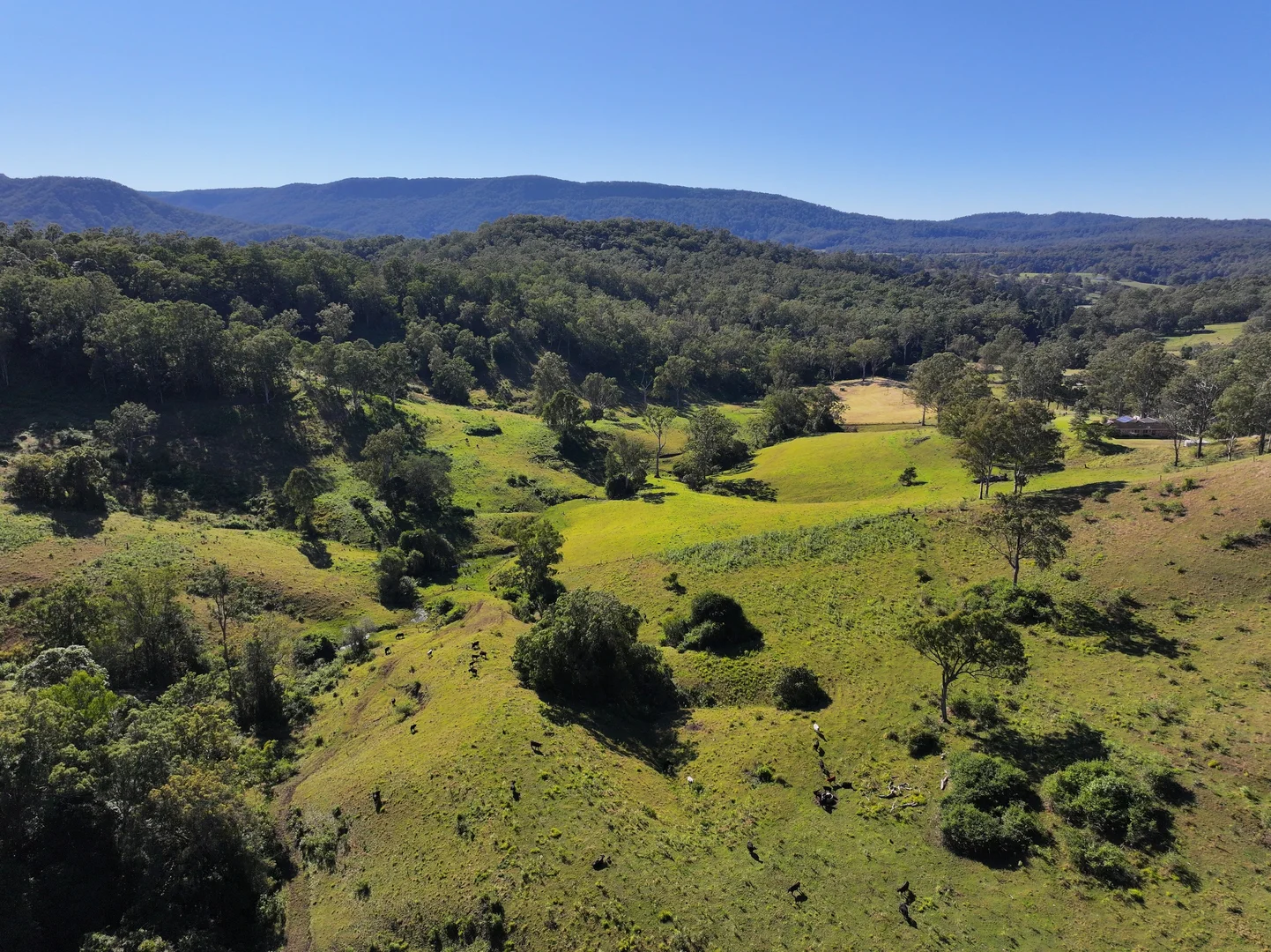 Additional image 12 of 2425 Pine Creek Rd, Lismore NSW 2480