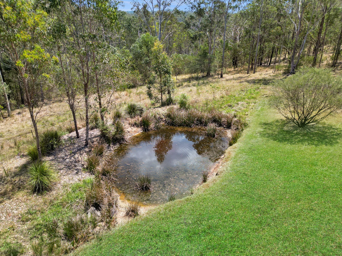 Additional image 25 of 4/62 Leslie Creek Road, Tabulam NSW 2469