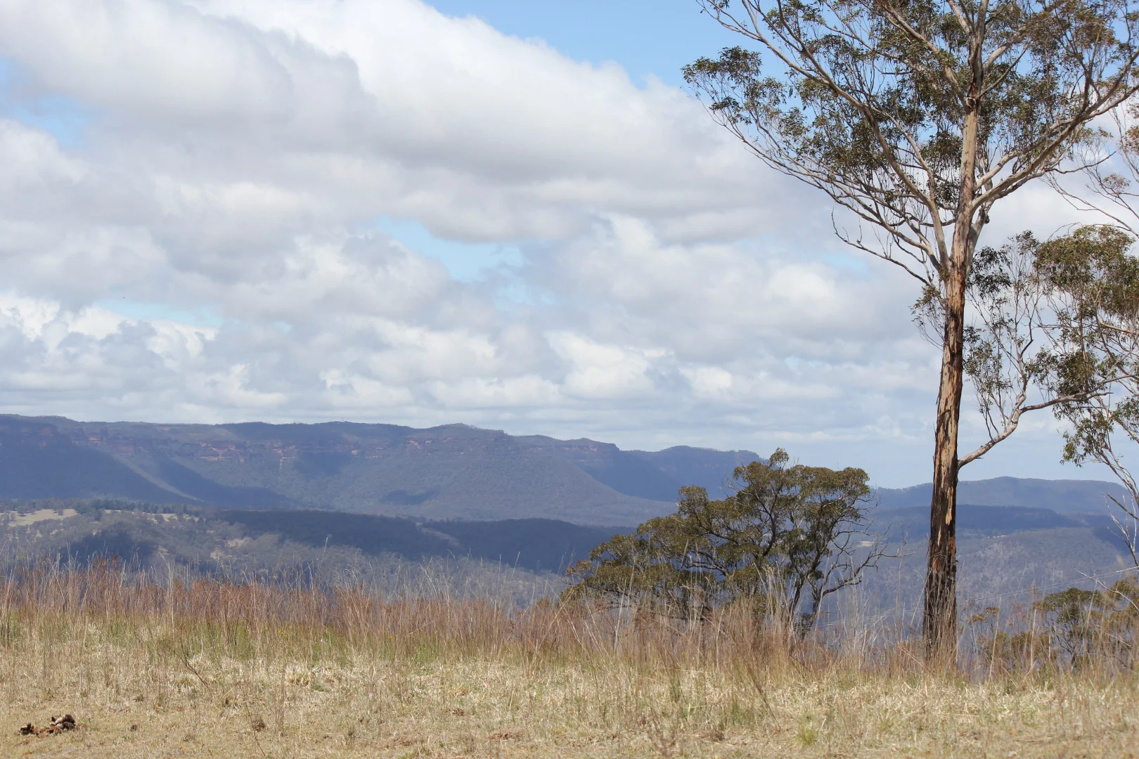 Additional image 17 of Lot 51 Glen Chee Road, Kanimbla NSW 2790