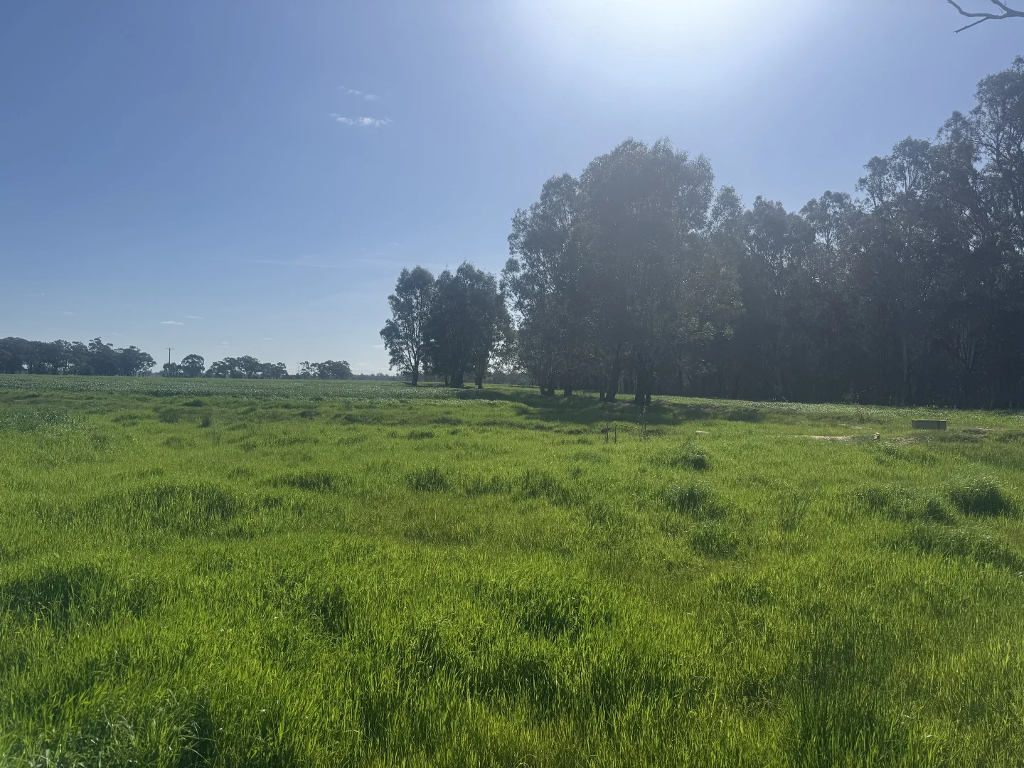 Additional image 40 of . Bangerang Road, Kanyapella VIC 3564