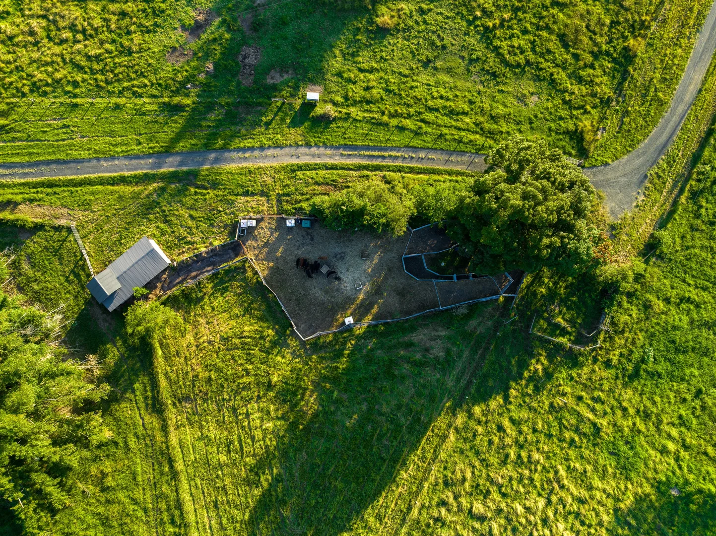 Additional image 4 of 2 Webber Road, Tregeagle NSW 2480