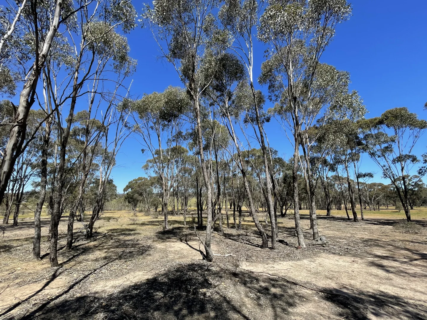 Additional image 13 of Allotment 7D Wedderburn Road, St Arnaud East VIC 3477