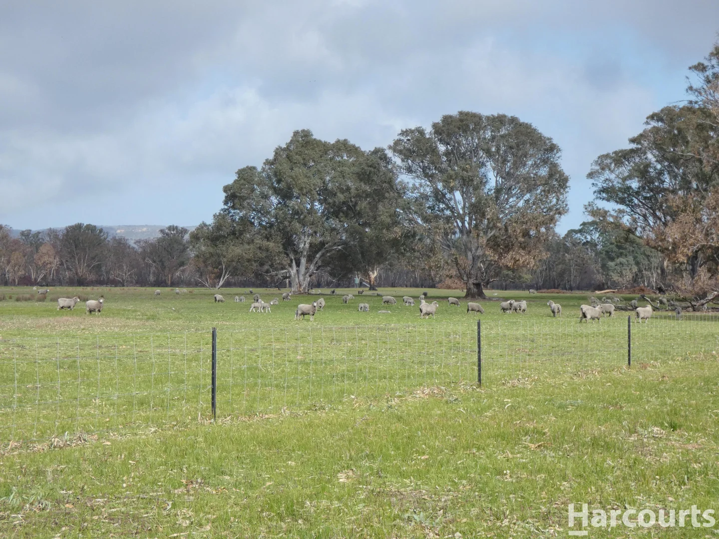 Additional image 9 of 6080 Western Highway, Dadswells Bridge VIC 3385