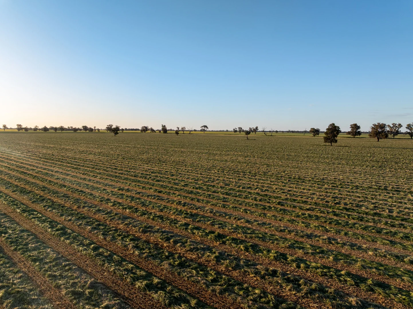 Additional image 22 of 1623 Redlands Road, Ringwood NSW 2646