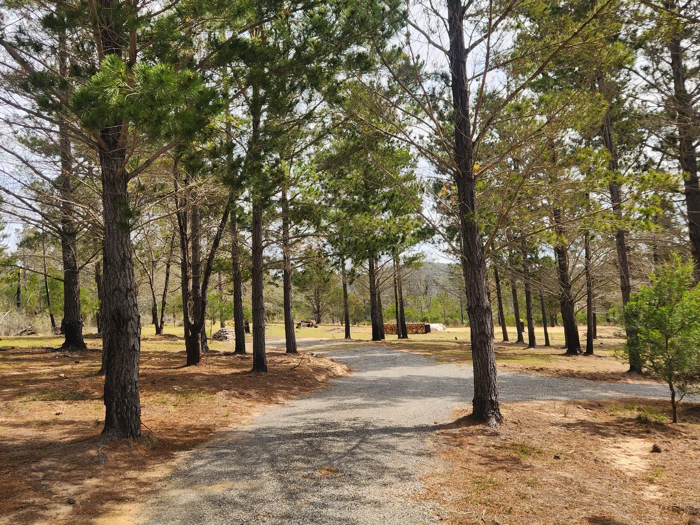 Additional image 12 of 480 Tall Timbers Road, Tomboye NSW 2622