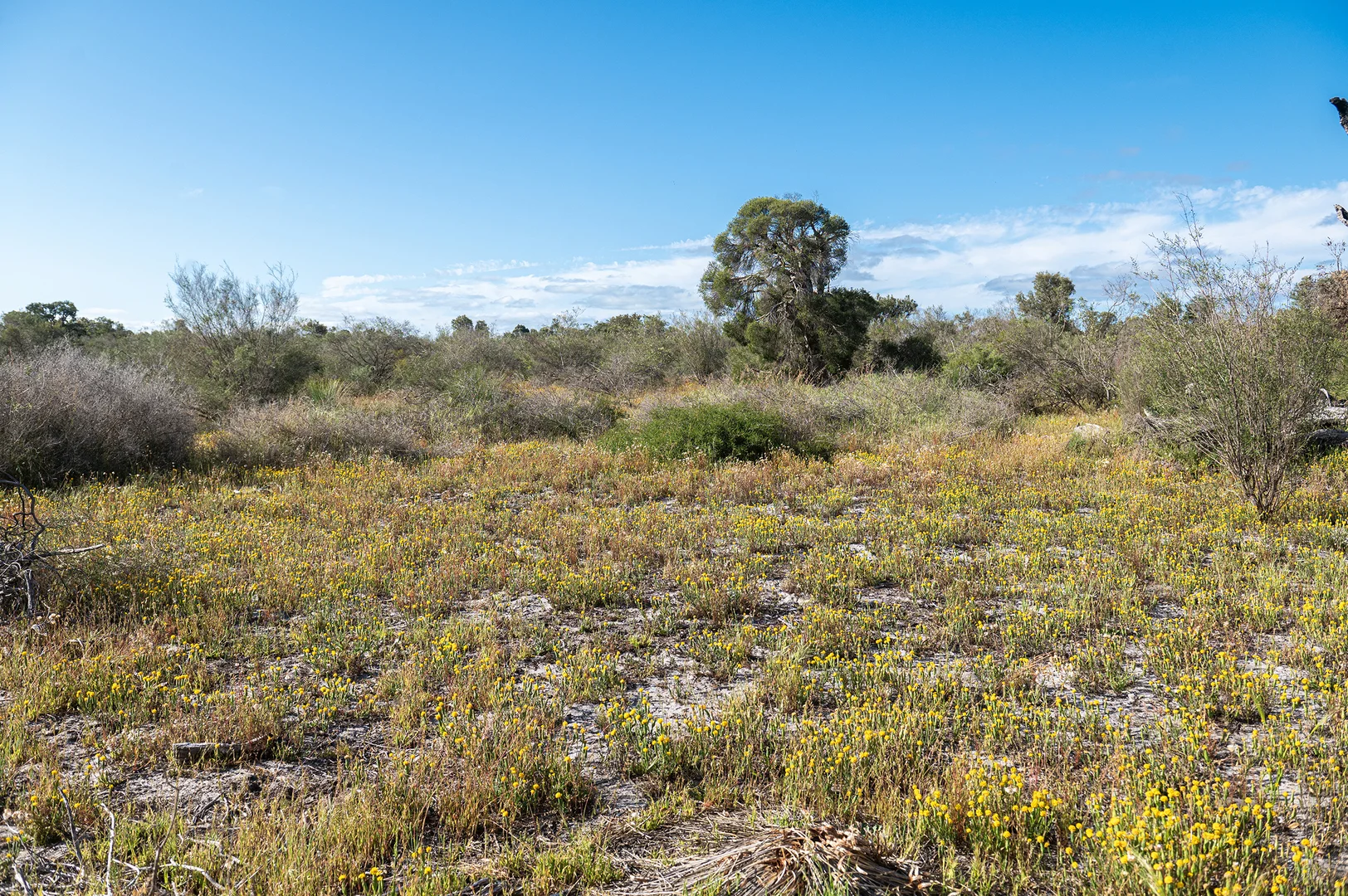 Additional image 18 of 3691 Duffy Road, Bambun WA 6503