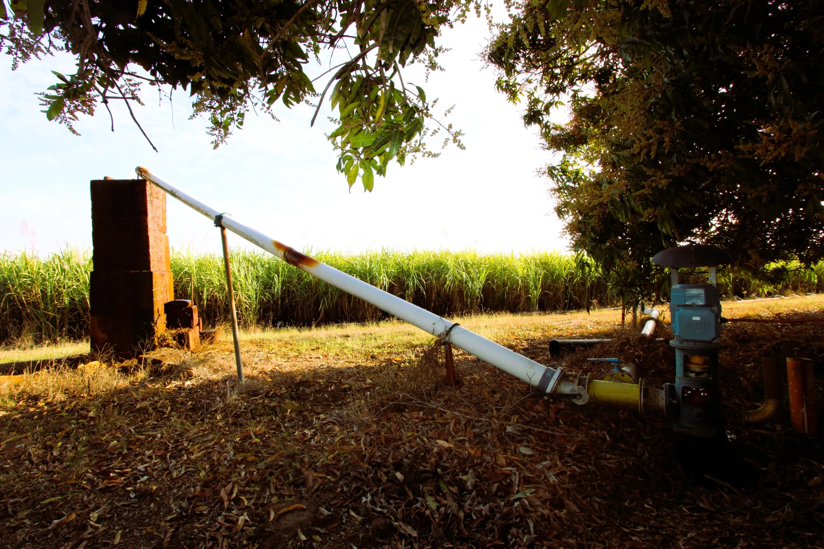 Additional image 19 of 20 Colevale Road, Brandon QLD 4808