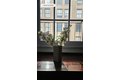 Additional image 7 of 340 W 11th St Apt 3EF, New York, NY, 10014