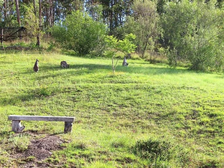 Additional image 16 of 1215 Rivertree Road, Stanthorpe QLD 4380