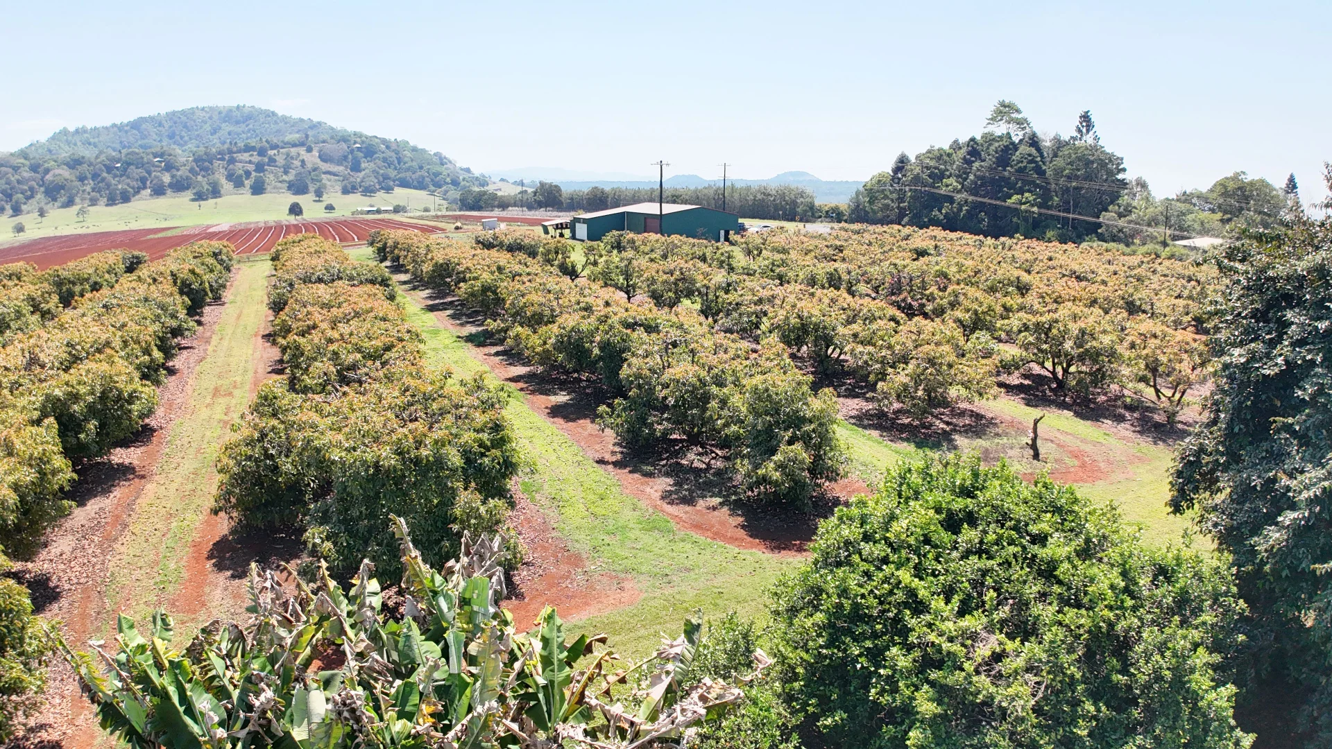 Additional image 46 of 767 Peeramon Road, Peeramon QLD 4885