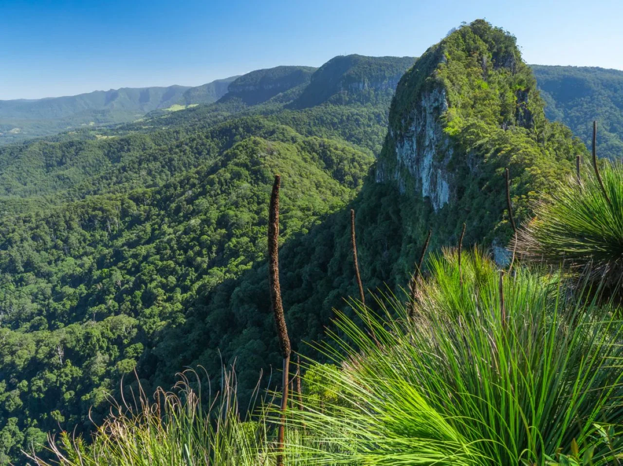 Additional image 40 of 660 Trees Road, Tallebudgera Valley QLD 4228