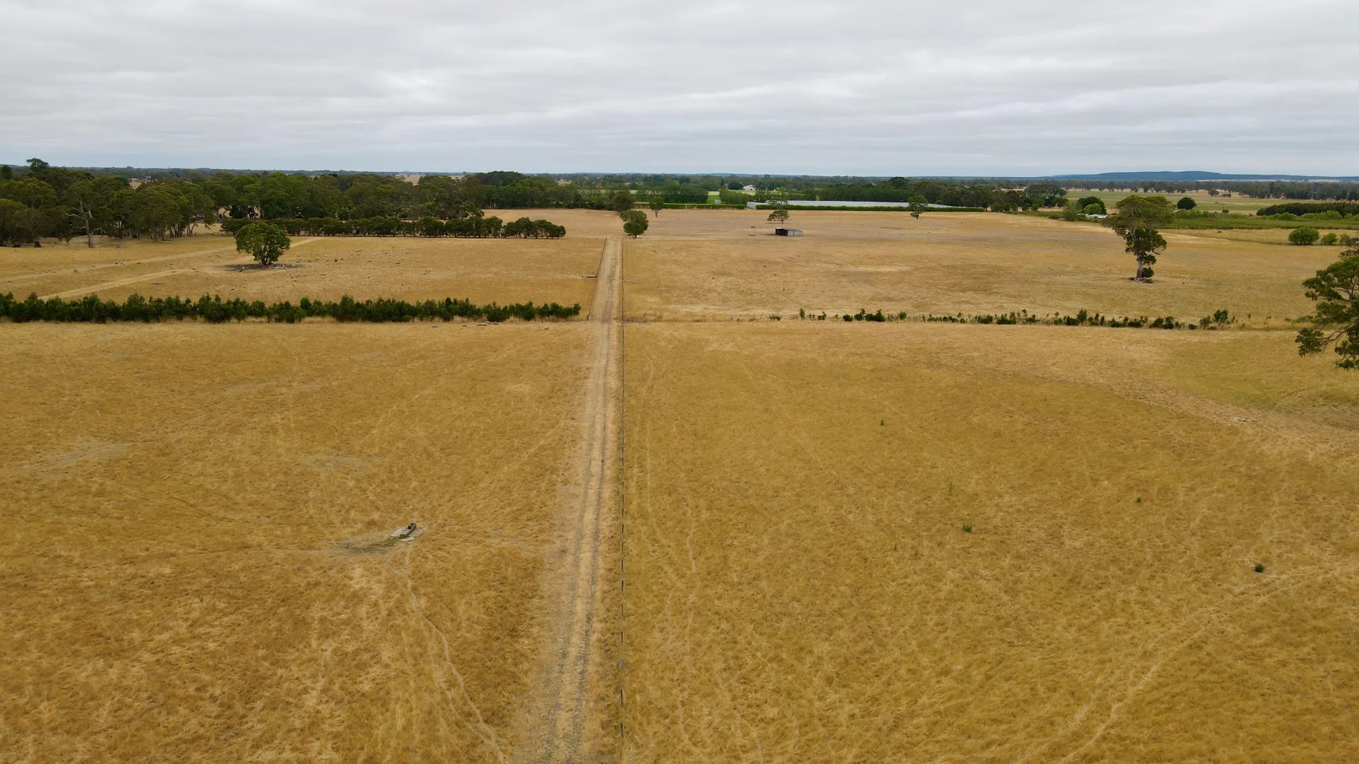 Additional image 2 of Lot 899 Mount McIntyre Road, Kalangadoo SA 5278