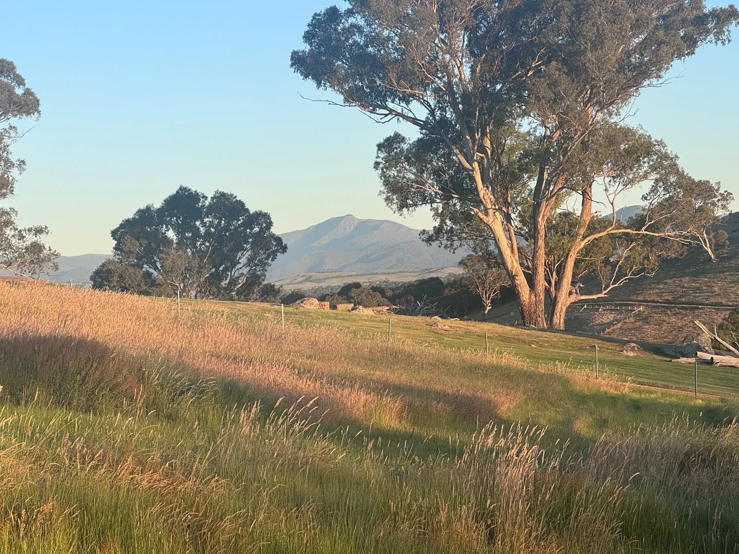 10 Range View Court, Mansfield VIC 3722