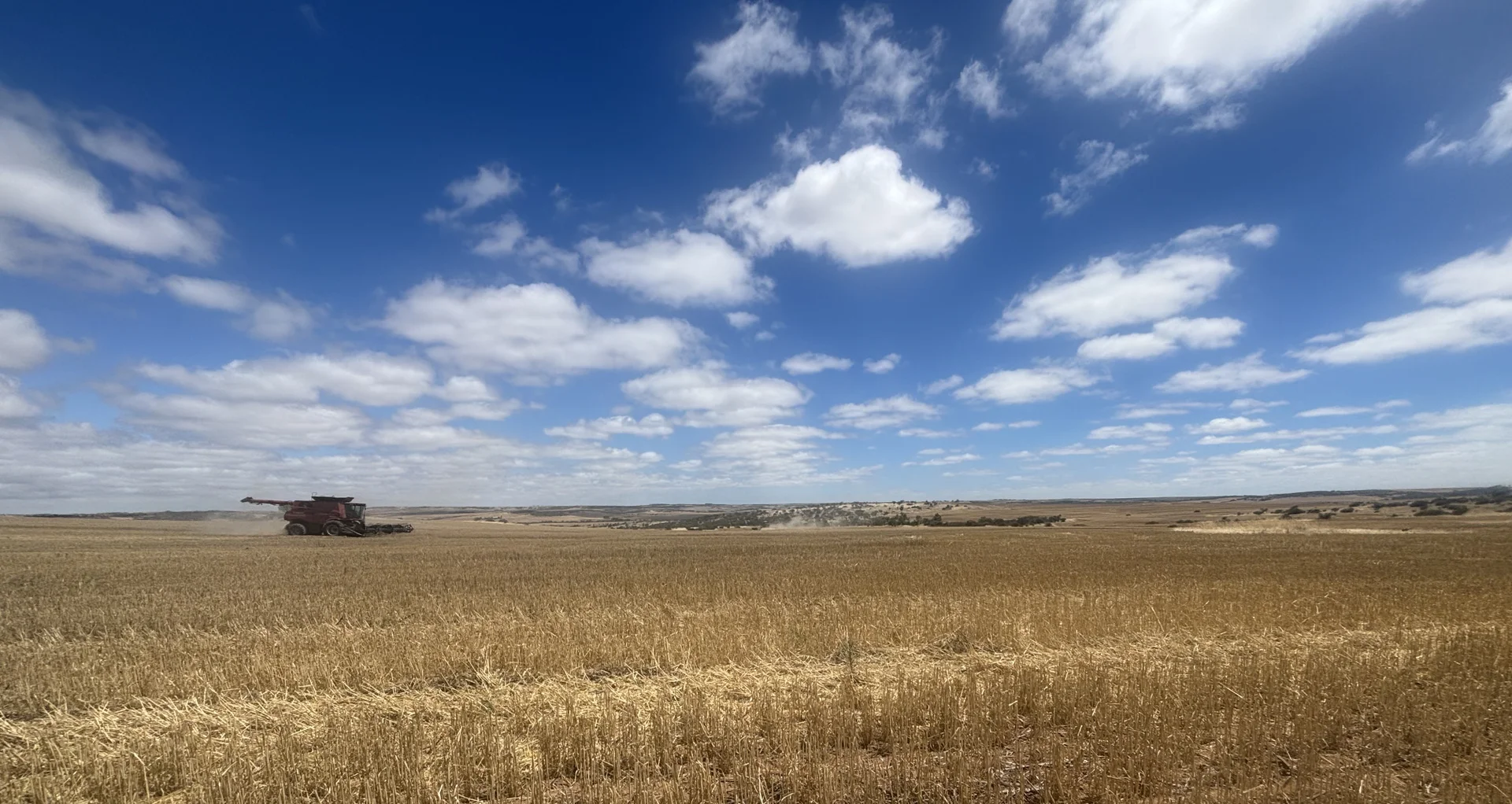 Additional image 6 of Lot 65 Forrester Road, Mount Erin WA 6532