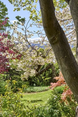 Additional image 29 of 143 Hampden Road, Hobart TAS 7000