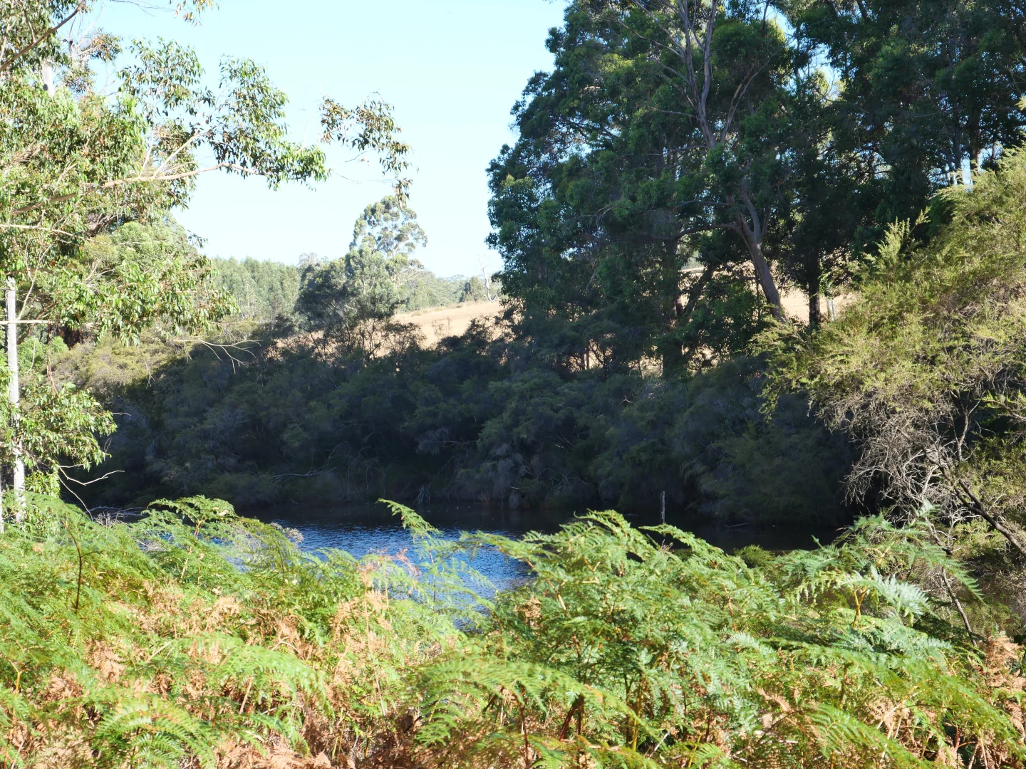 Additional image 15 of 61 Hayes Road, East Nannup WA 6275