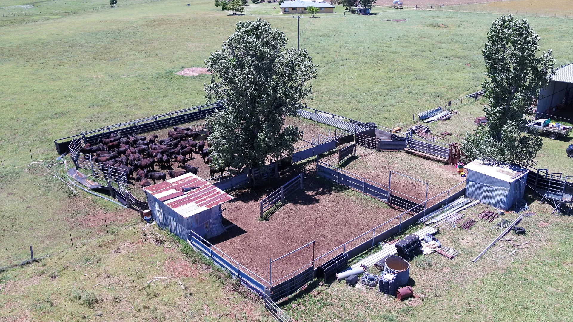 Additional image 26 of 134 Ruwenzorie Rd Wellingrove, Glen Innes NSW 2370