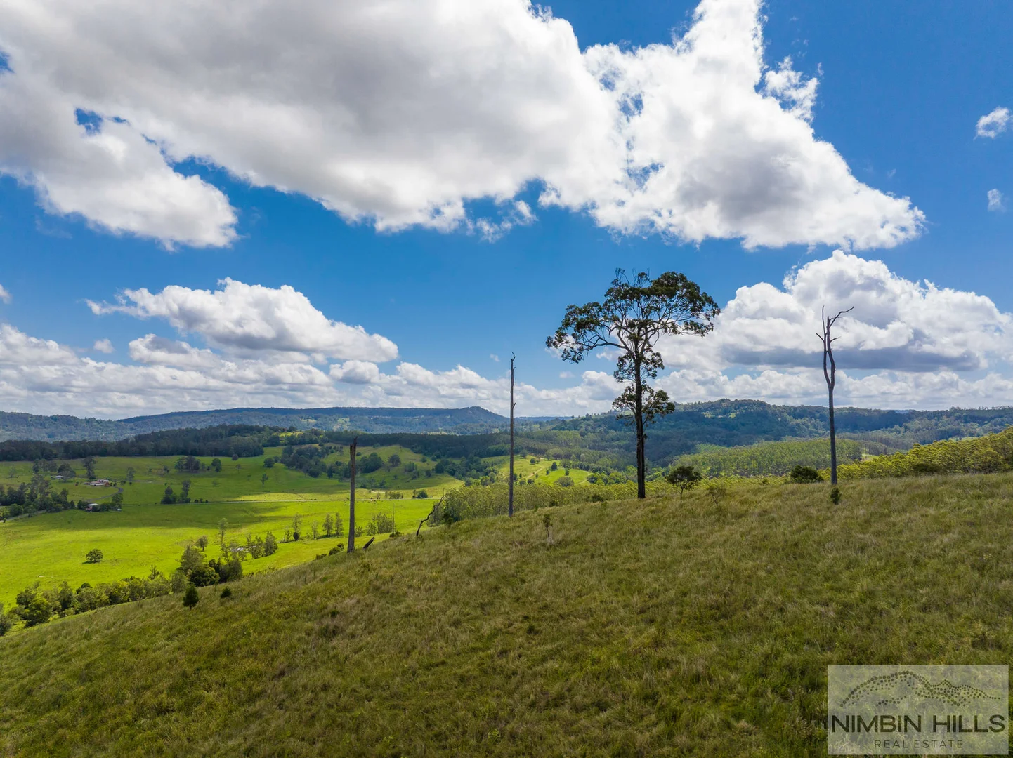 Additional image 37 of 19 Moffitt Road, Nimbin NSW 2480