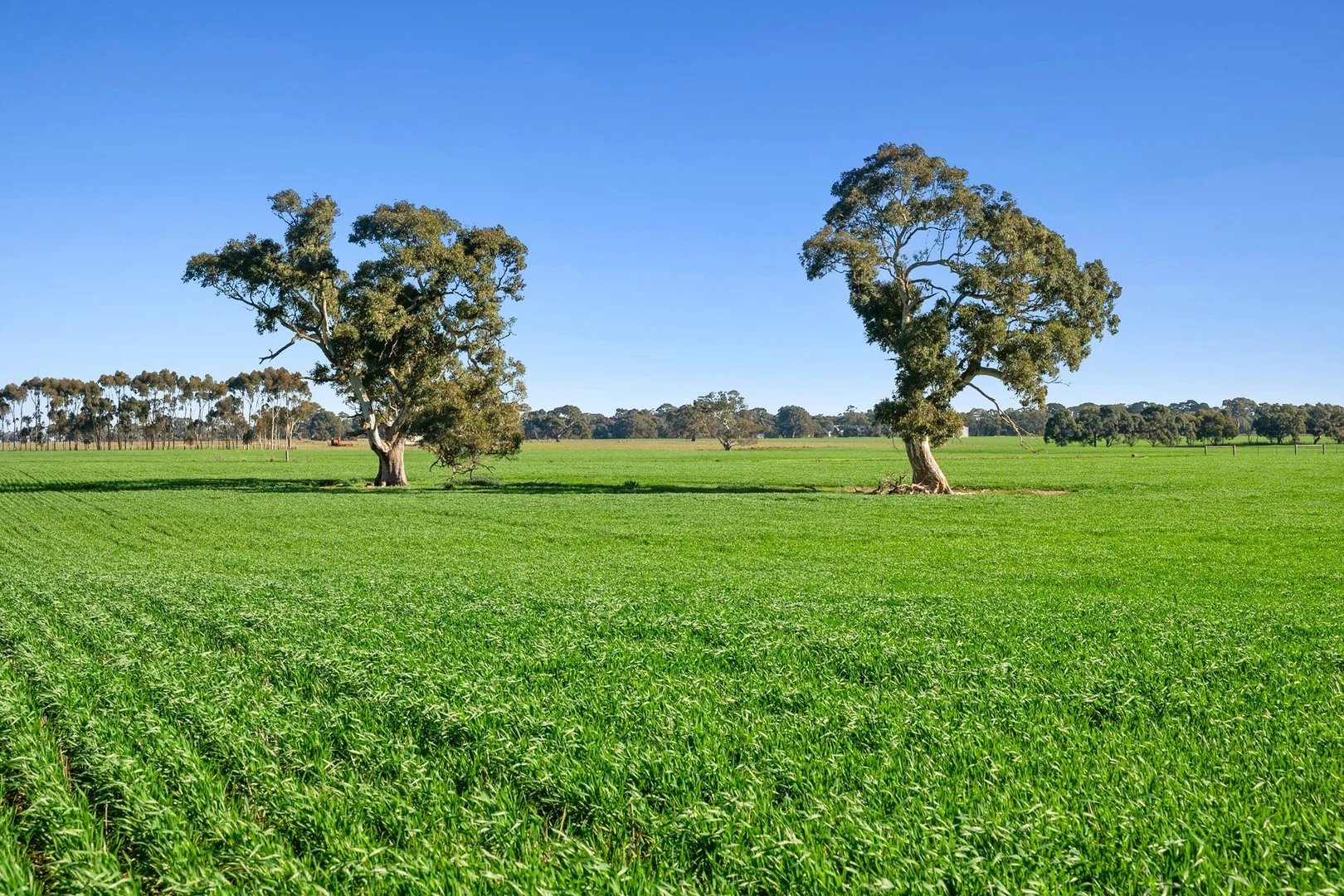 Additional image 4 of 1412 Bannockburn-Shelford Road, Teesdale VIC 3328
